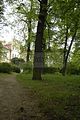 tannenfeld-sommer 2012-048